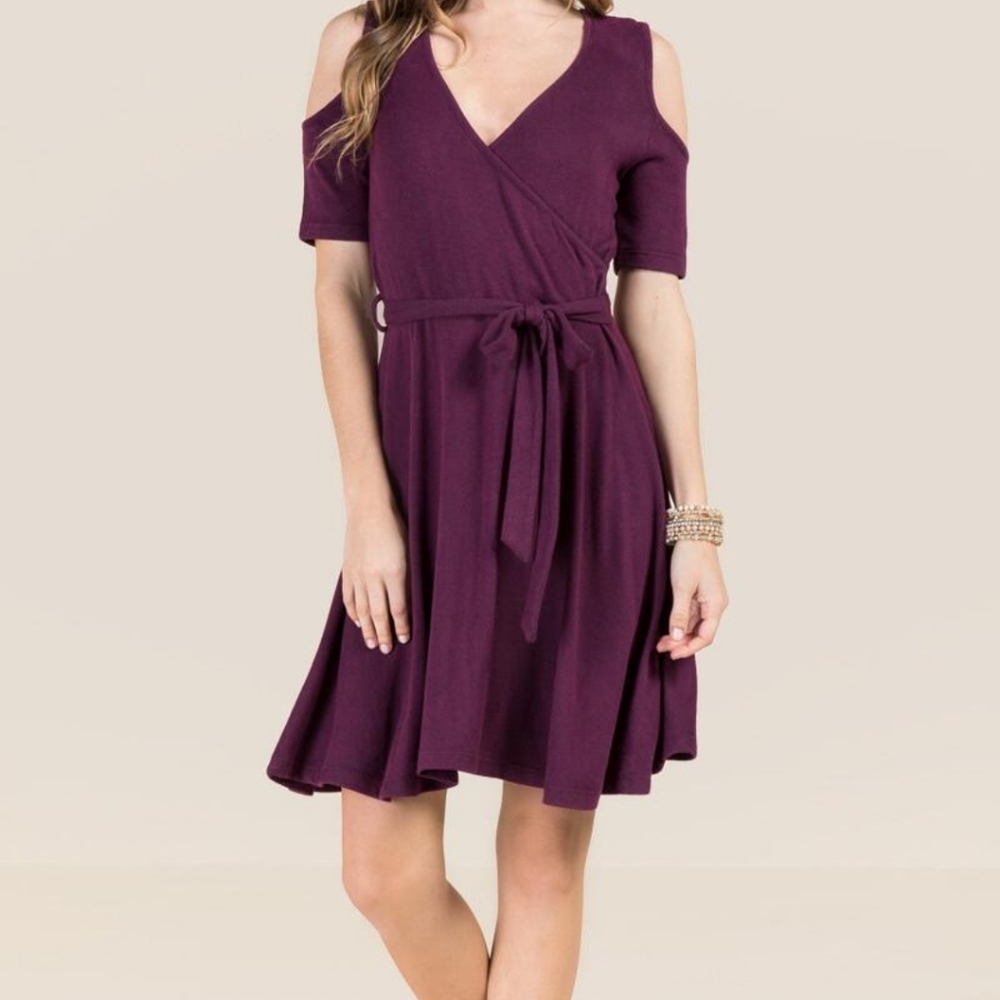 NWT Robin Purple Tie Waist Knit Dress